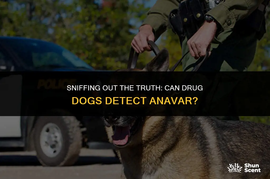 can drug dogs smell anavar
