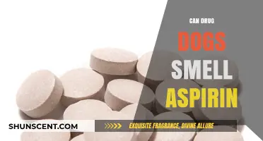 Can Drug Dogs Detect Aspirin? Exploring Their Scent Capabilities