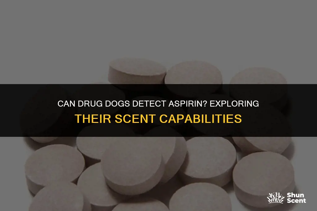 can drug dogs smell aspirin