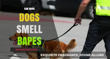 Can Drug Dogs Detect Bapes? Exploring Their Scent Capabilities