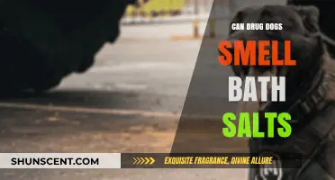 Sniffing Out the Truth: Can Drug Dogs Detect Bath Salts?