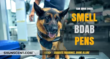 Can Drug Dogs Detect BDAB Pens? The Science Behind It