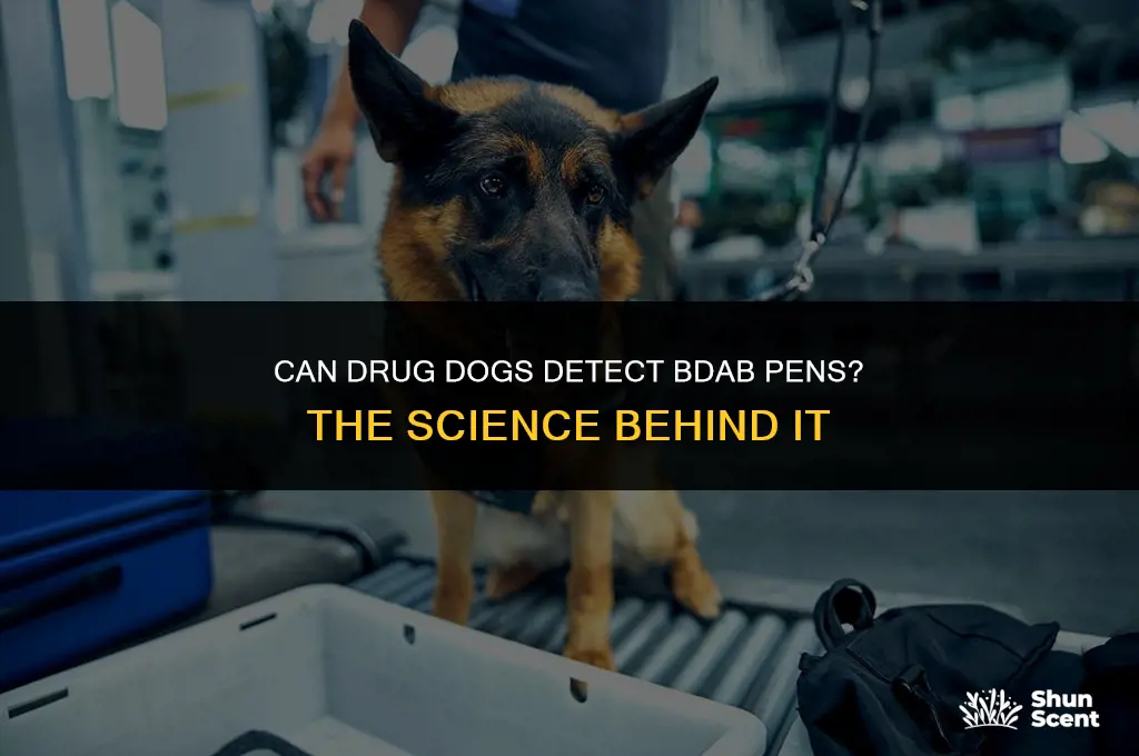 can drug dogs smell bdab pens