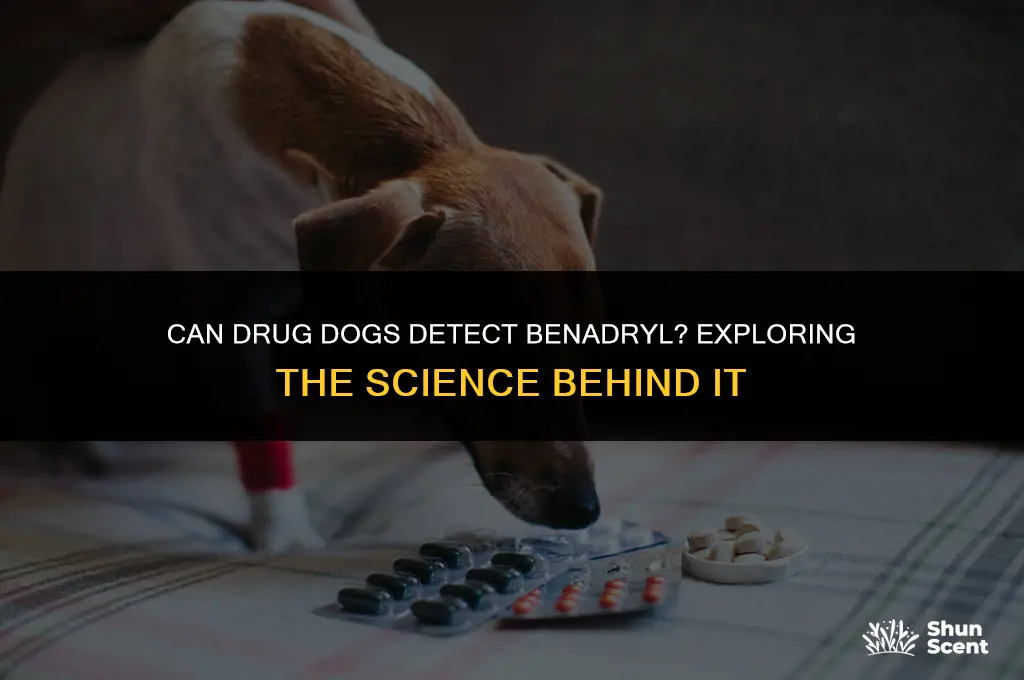 can drug dogs smell benadryl