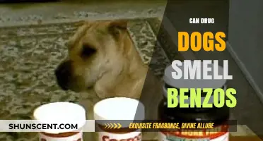Can Drug Dogs Detect Benzodiazepines: Myths and Facts Uncovered
