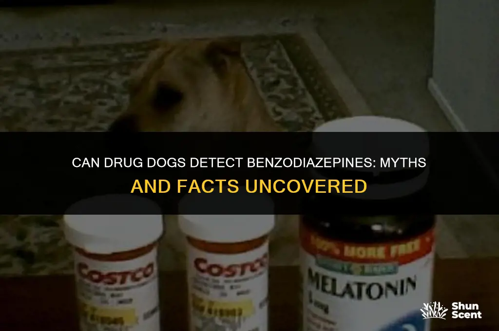 can drug dogs smell benzos