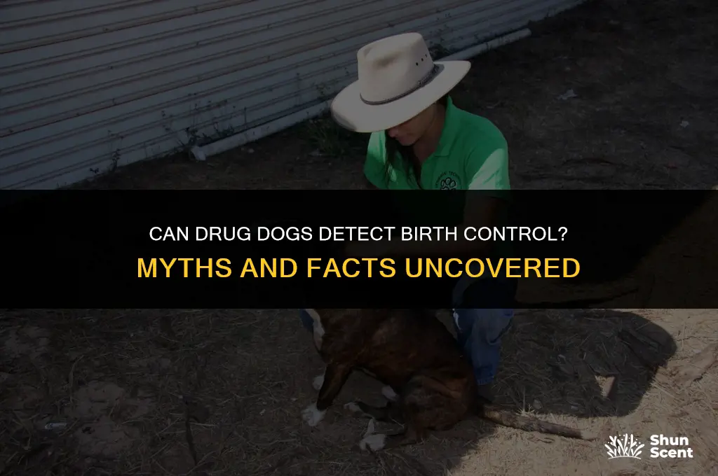 can drug dogs smell birth control