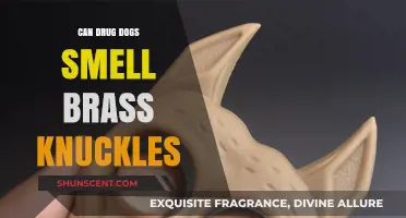 Sniffing Out Hidden Threats: Can Drug Dogs Detect Brass Knuckles?