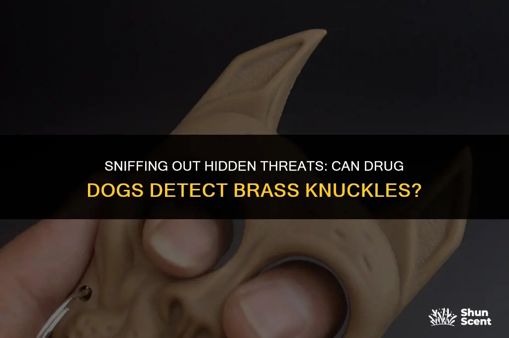 can drug dogs smell brass knuckles