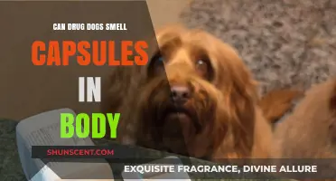 Sniffing Out the Truth: Can Drug Dogs Detect Capsules in the Body?