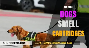 Sniffing Out the Truth: Can Drug Dogs Detect Cartridges?
