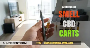 Can Drug Dogs Detect CBD Carts? Exploring the Science Behind It