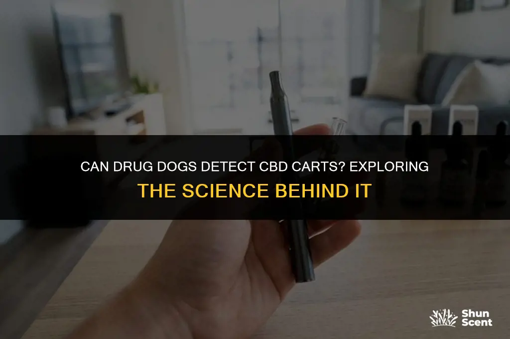 can drug dogs smell cbd carts