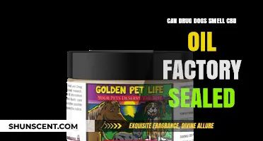 Can Drug Dogs Detect CBD Oil in Factory-Sealed Containers?