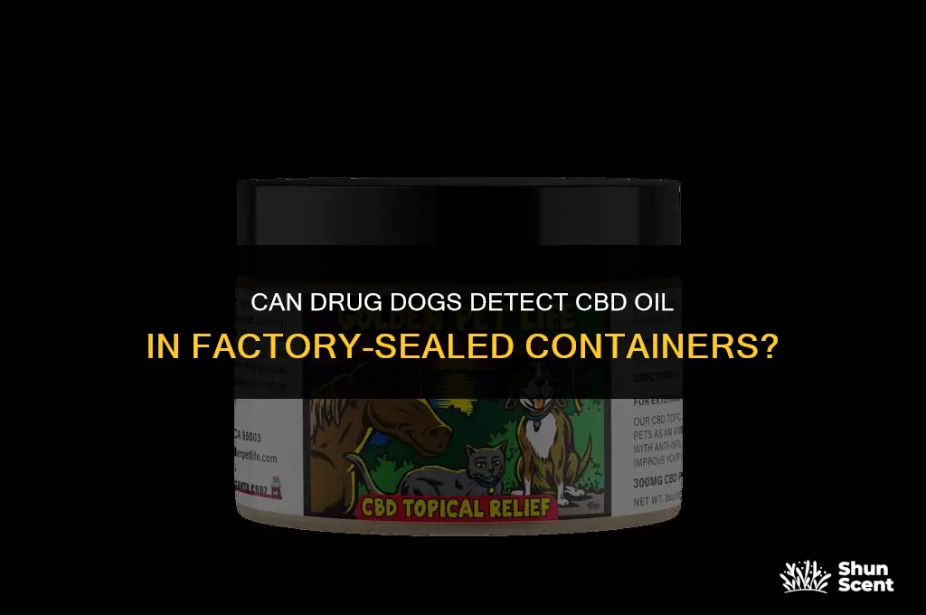 can drug dogs smell cbd oil factory sealed