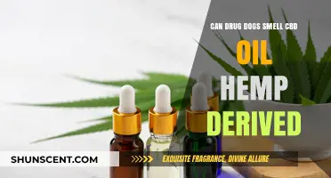 Can Drug Dogs Detect CBD Oil? Exploring Hemp's Hidden Secrets