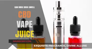 Can Drug Dogs Detect CBD Vape Juice: Myths and Facts