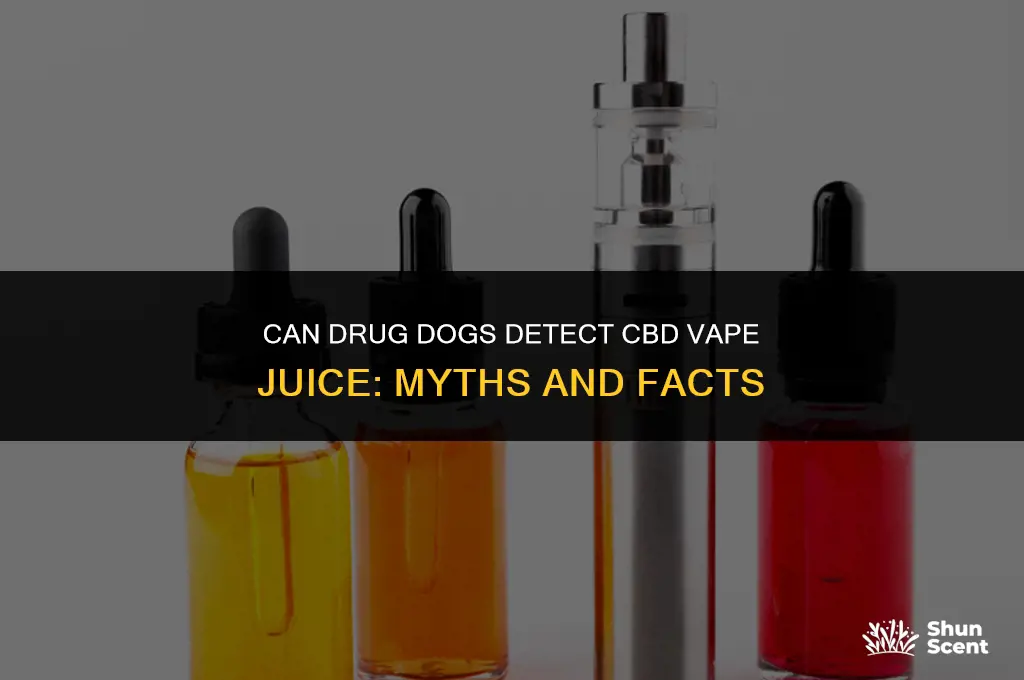 can drug dogs smell cbd vape juice