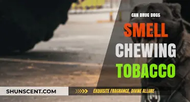Can Drug Dogs Detect Chewing Tobacco? Exploring Their Capabilities