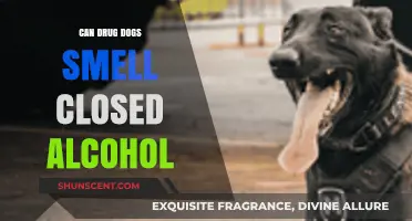 Can Drug Dogs Detect Alcohol in Closed Containers?