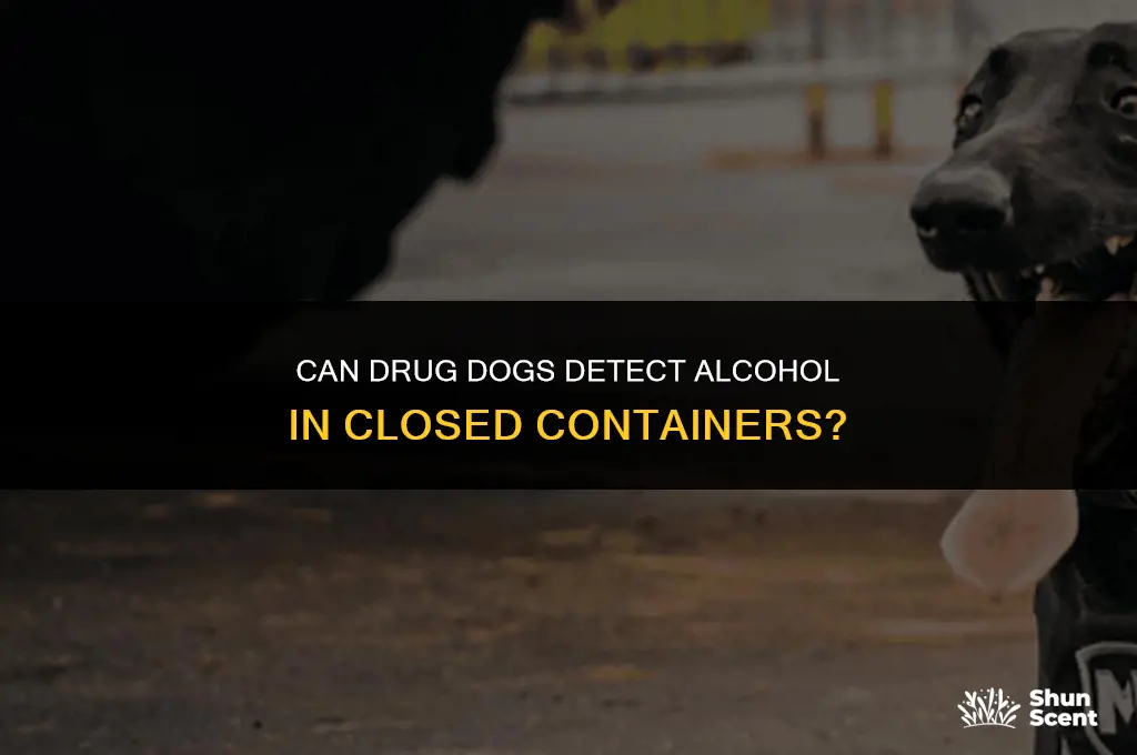 can drug dogs smell closed alcohol