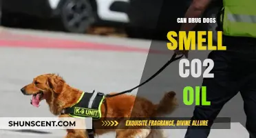 Sniffing Out the Truth: Can Drug Dogs Detect CO2 Oil?