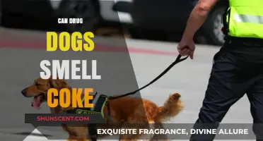Sniffing Out the Truth: Can Drug Dogs Detect Cocaine?