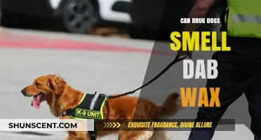 Can Drug Dogs Detect Dab Wax: Myths and Facts Uncovered