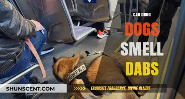 Can Drug Dogs Detect Dabs? The Science Behind Canine Detection