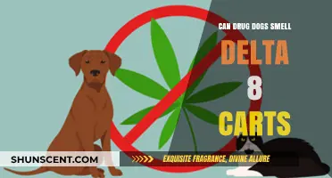Sniffing Out the Truth: Can Drug Dogs Detect Delta-8 Carts?