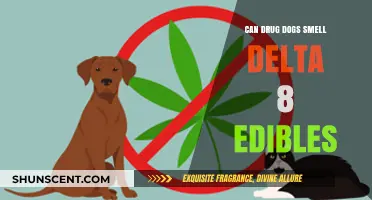 Sniffing Out the Truth: Can Drug Dogs Detect Delta-8 Edibles?
