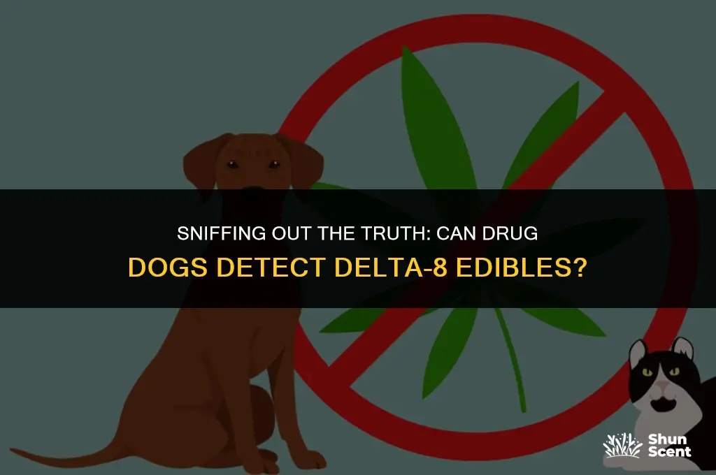 can drug dogs smell delta 8 edibles