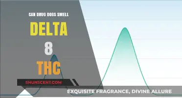 Sniffing Out the Truth: Can Drug Dogs Detect Delta-8 THC?