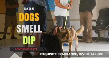 Sniffing Out the Truth: Can Drug Dogs Detect Dip?