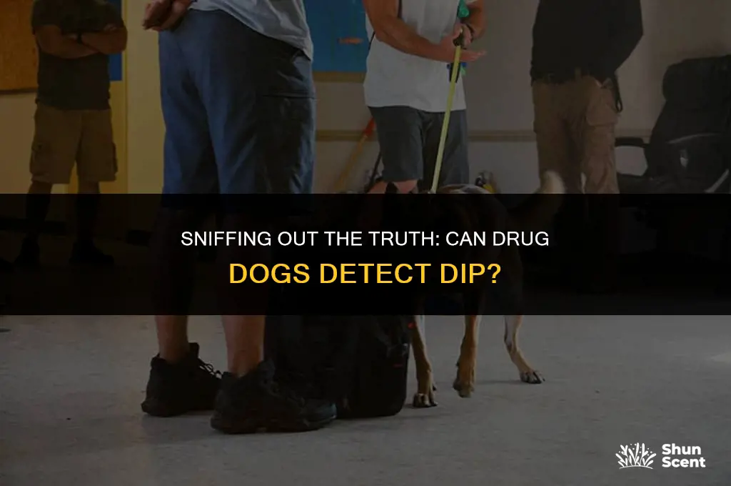 can drug dogs smell dip