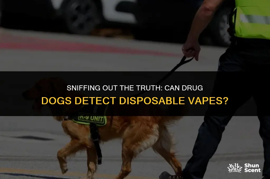 can drug dogs smell dispos
