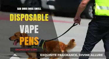Sniffing Out the Truth: Can Drug Dogs Detect Disposable Vape Pens?
