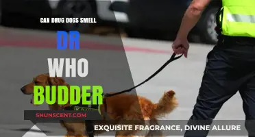 Sniffing Out the Truth: Can Drug Dogs Detect Dr. Who Budder?