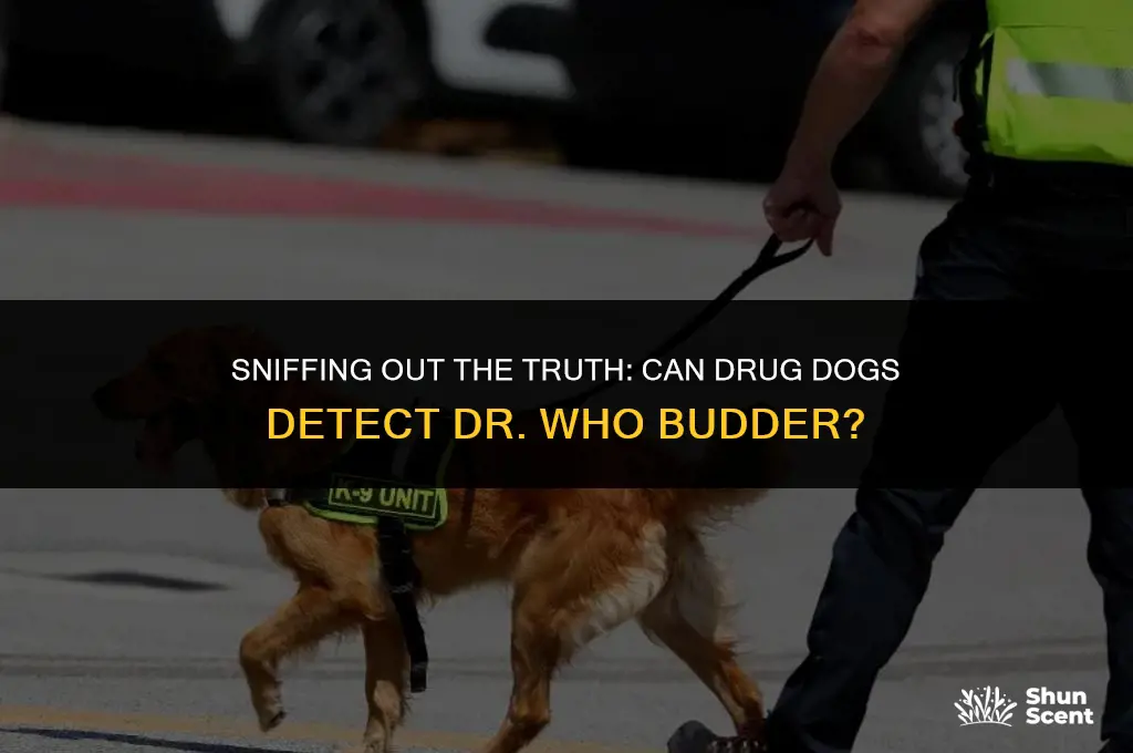 can drug dogs smell dr who budder