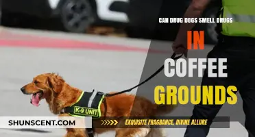 Sniffing Out Narcotics: Can Drug Dogs Detect Drugs in Coffee Grounds?