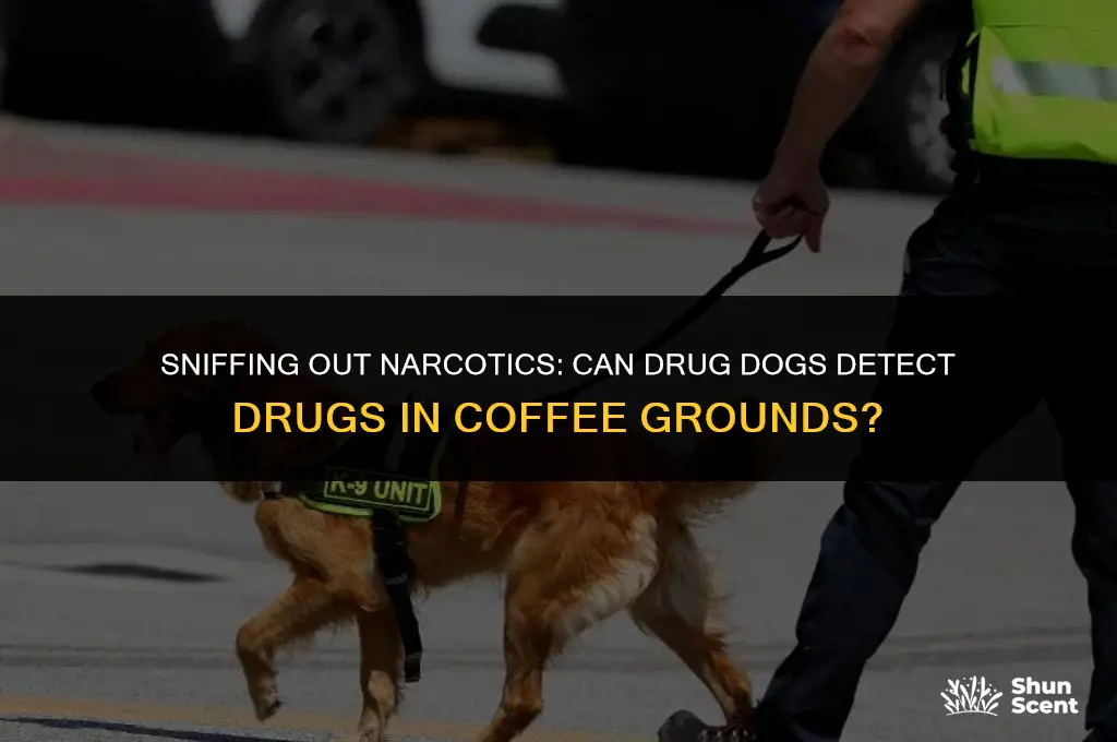can drug dogs smell drugs in coffee grounds