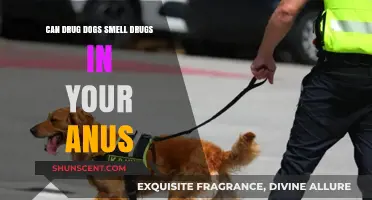 Can Drug Dogs Detect Substances in the Human Body?