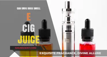 Can Drug Dogs Detect E-Cig Juice? The Science Behind It
