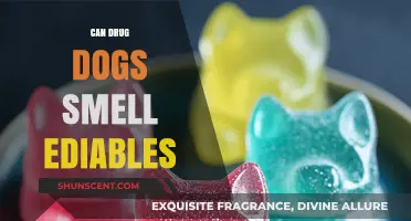 Sniffing Out the Truth: Can Drug Dogs Detect Edibles?
