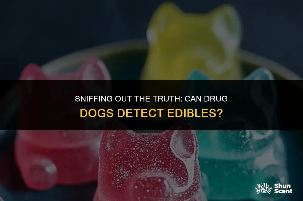 can drug dogs smell ediables