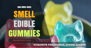 Can Drug Dogs Detect Edible Gummies: Myths and Facts