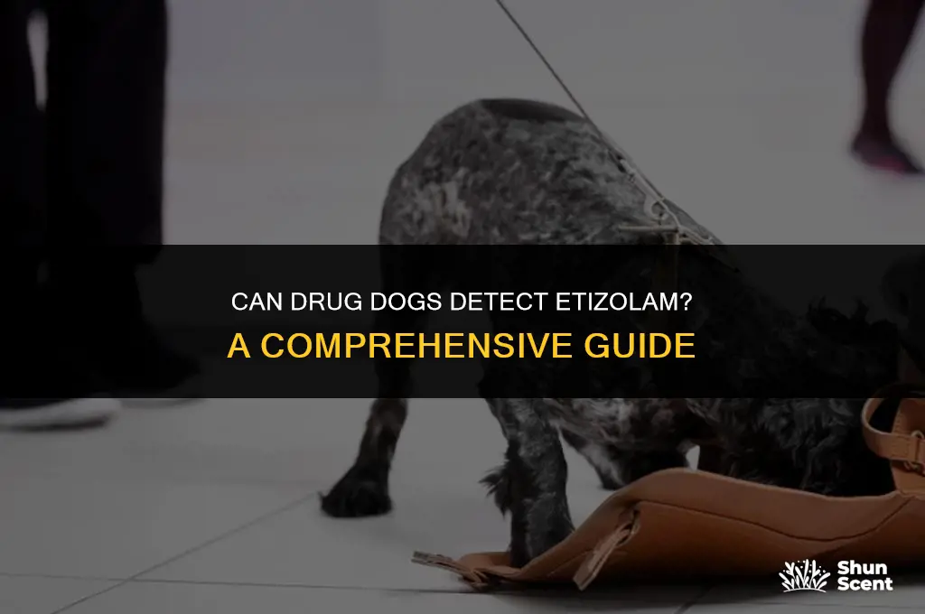 can drug dogs smell etizolam