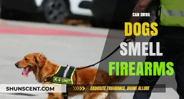 Sniffing Out Danger: Can Drug Dogs Detect Firearms?