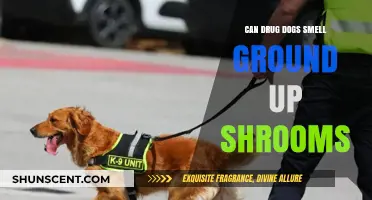 Can Drug Dogs Detect Ground Up Shrooms? A Comprehensive Guide