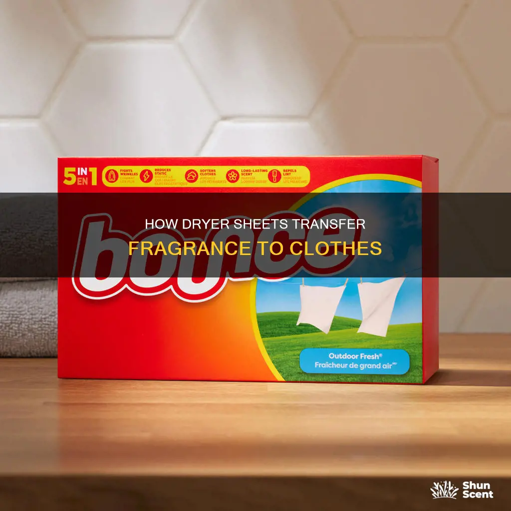 can dryer sheet fragrance transfer